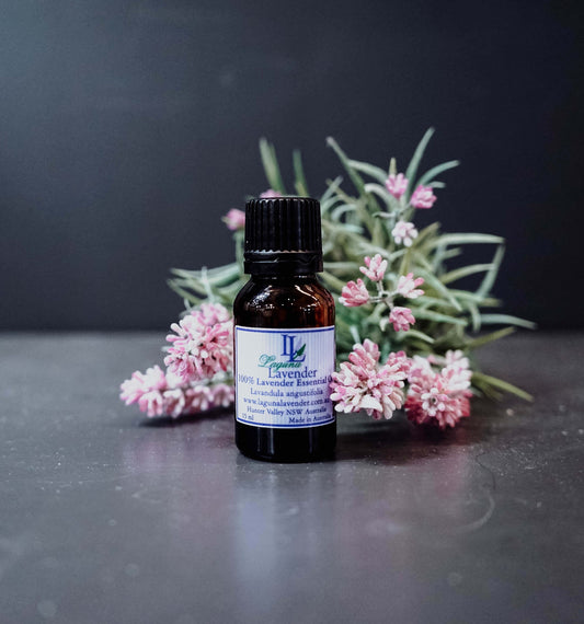 Oil Essential Lavender