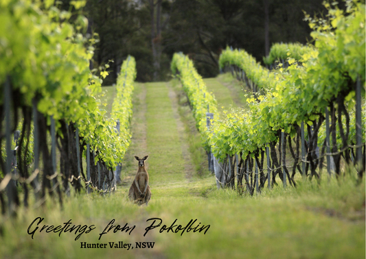 Hunter Valley Postcards